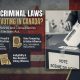 Federal Criminal Laws for Unlawful Voting